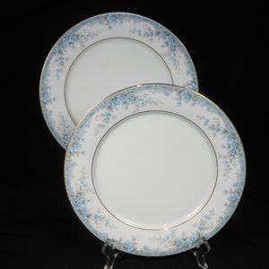 2 dinner plates. Noritake Contemporary fine china AVALON 3390